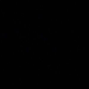 Meet your Posher, Sorah